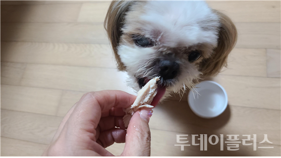 (사진=최솔이 제공)