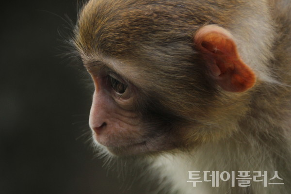사건과 관련 없는 사진 (사진 = freepik 제공)